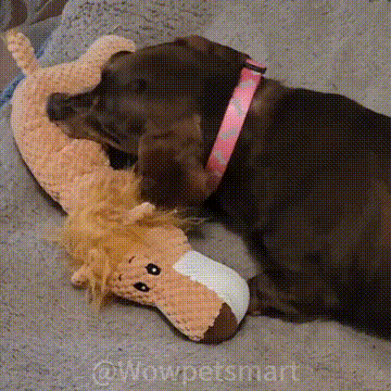 ChewAnimal™- Designed for Strong Chewers - 🚨 Limited-Time Offer: Today only. buy one ChewAnimal™ and get one FREE!