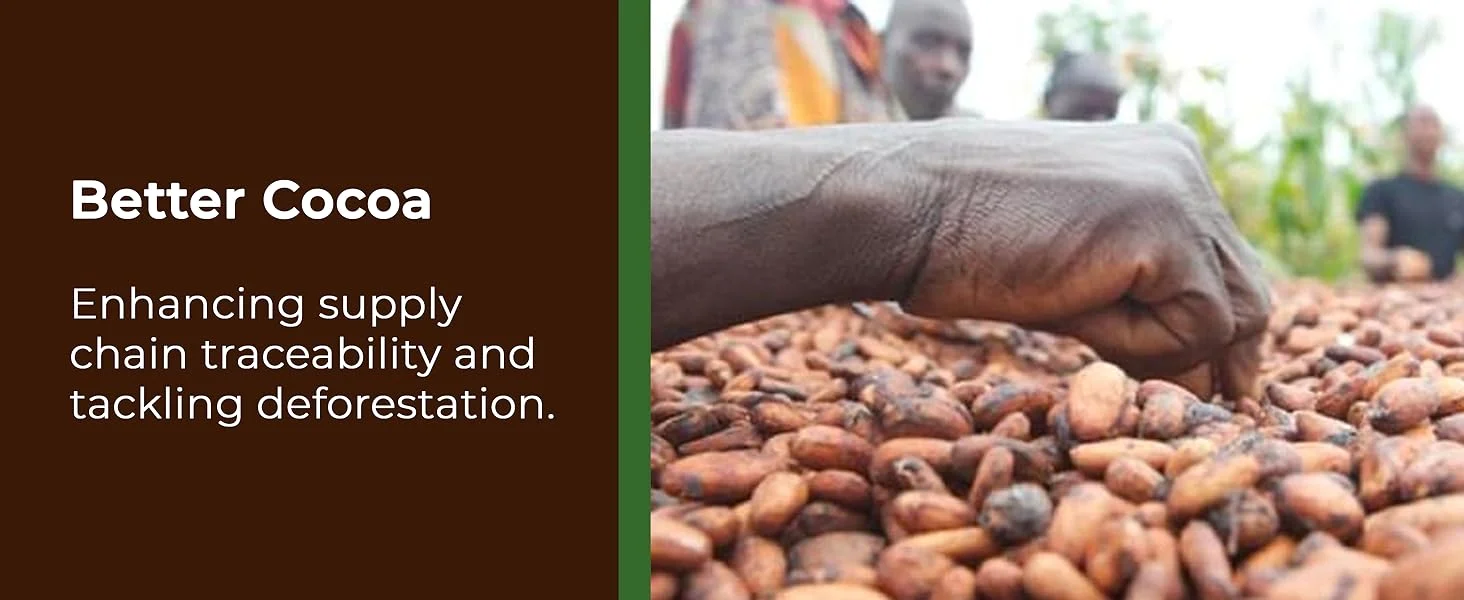 【New User Only】Nestlé Kitkat and Friends Big Biscuit Box | 69 x Chocolate Biscuit Bars – KitKat, Blue Riband, Toffee Crisp | Bulk Chocolate Box 1.357kg  X2 boxes