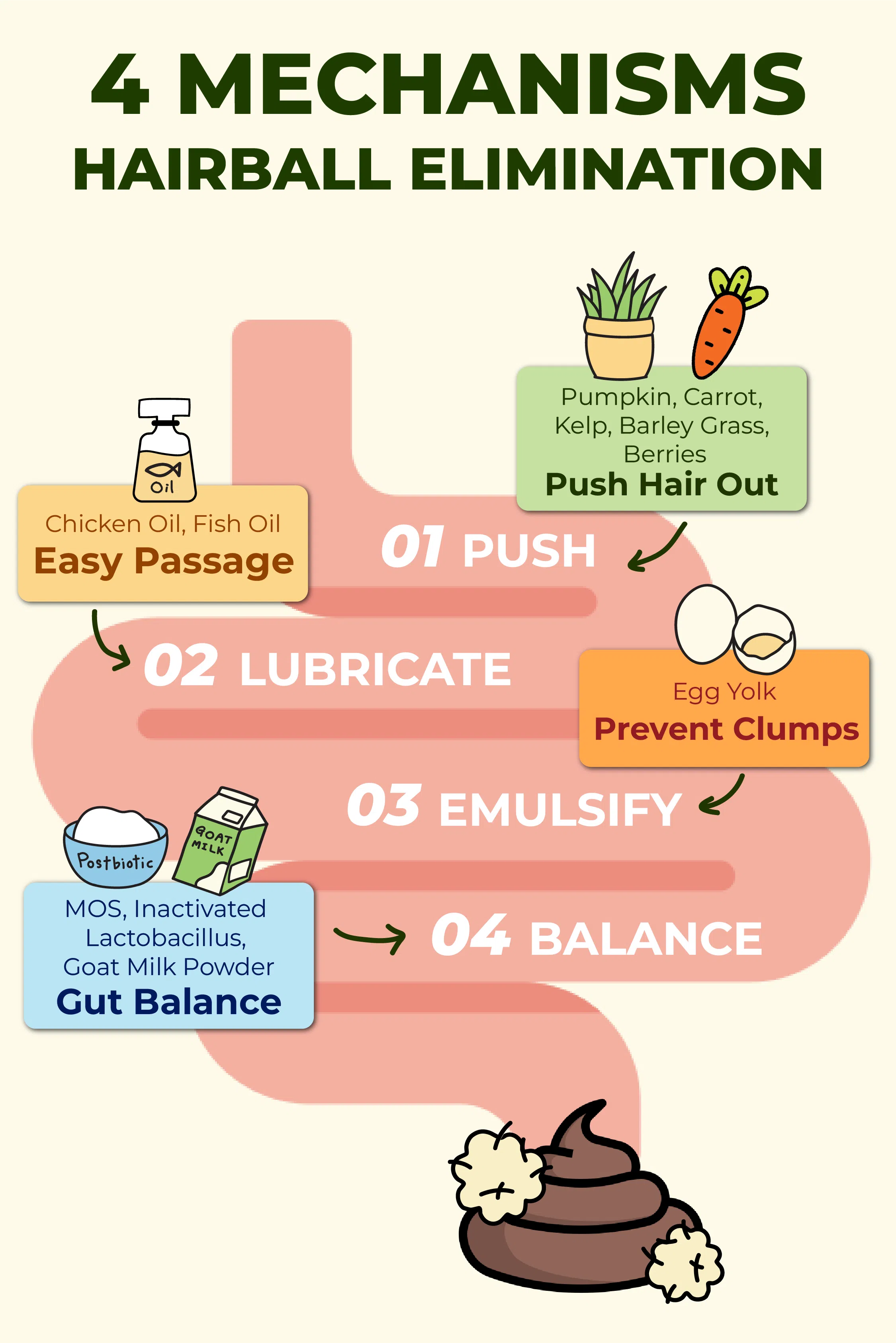 πππππππππ β πππ πππππ πππππ πππ πππππππ