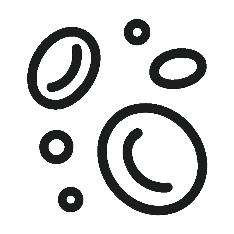 Brushing your teeth has never been simpler